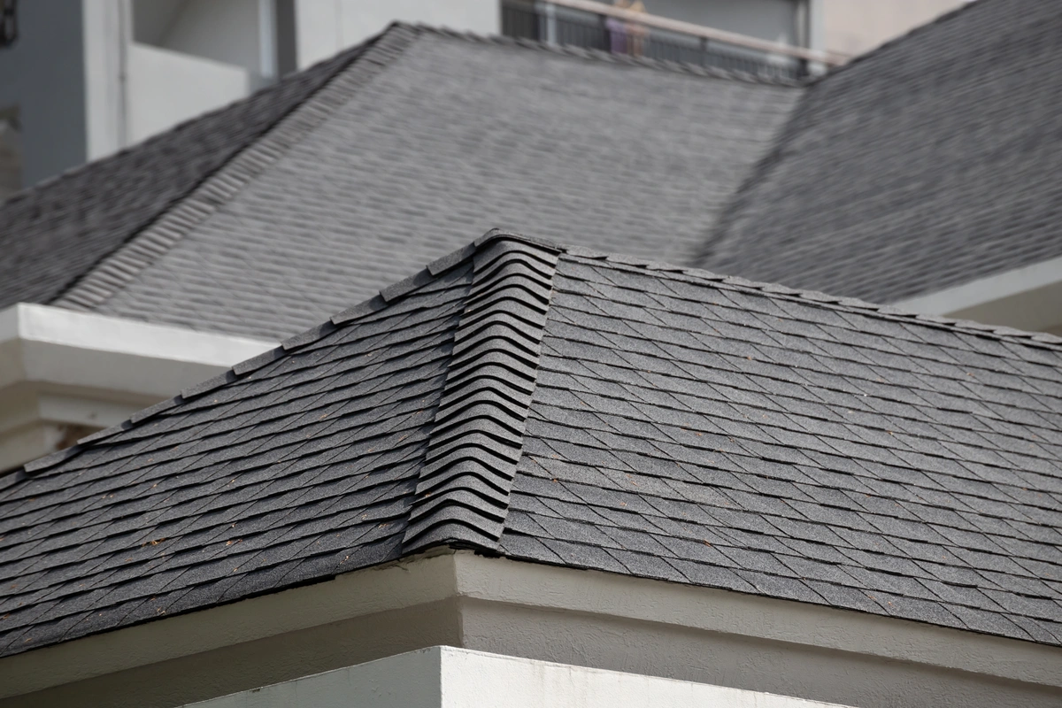 shingles roof roofing