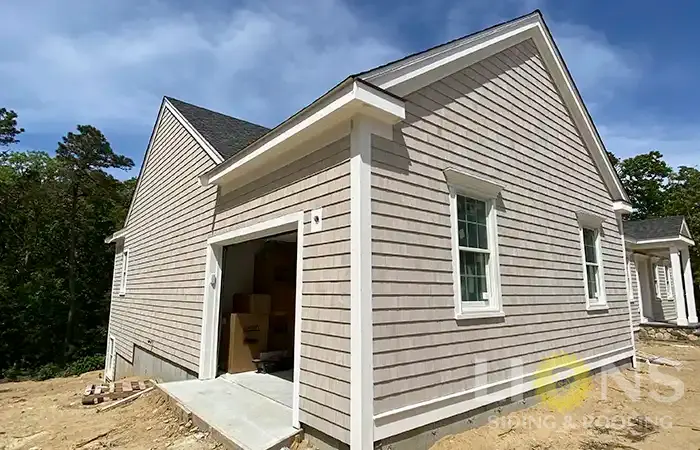 lions-gallery-photos-12