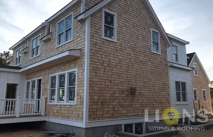 lions-gallery-photos-14