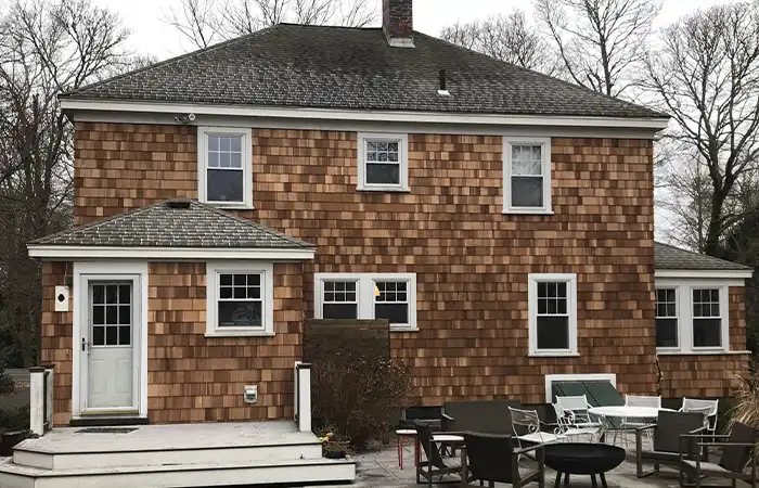 lions-gallery-photos-16