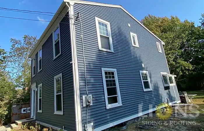 lions-gallery-photos-18