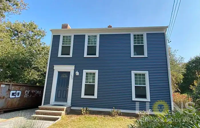 lions-gallery-photos-19