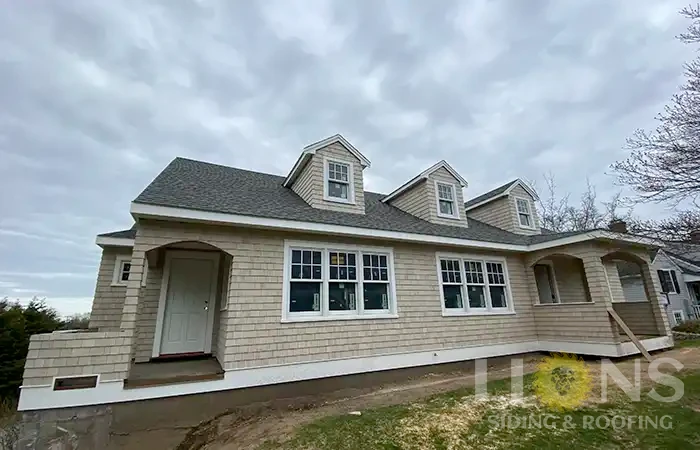 lions-gallery-photos-20