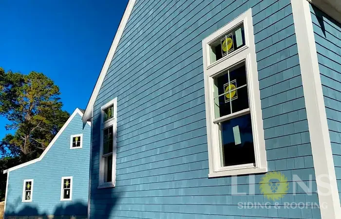 lions-gallery-photos-23