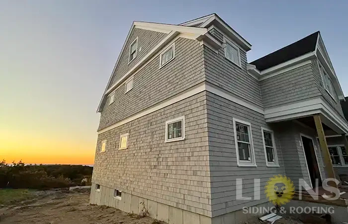 lions-gallery-photos-25