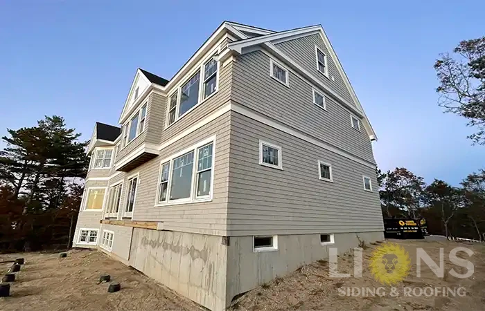 lions-gallery-photos-27