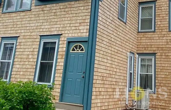 lions-gallery-photos-41