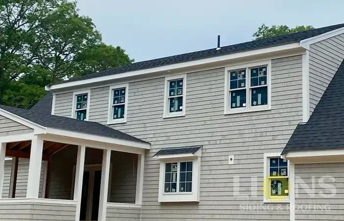 lions-gallery-photos-42