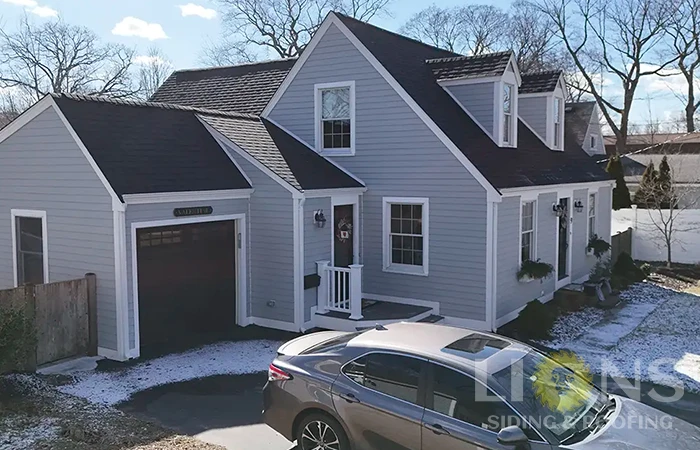 lions-gallery-photos-45